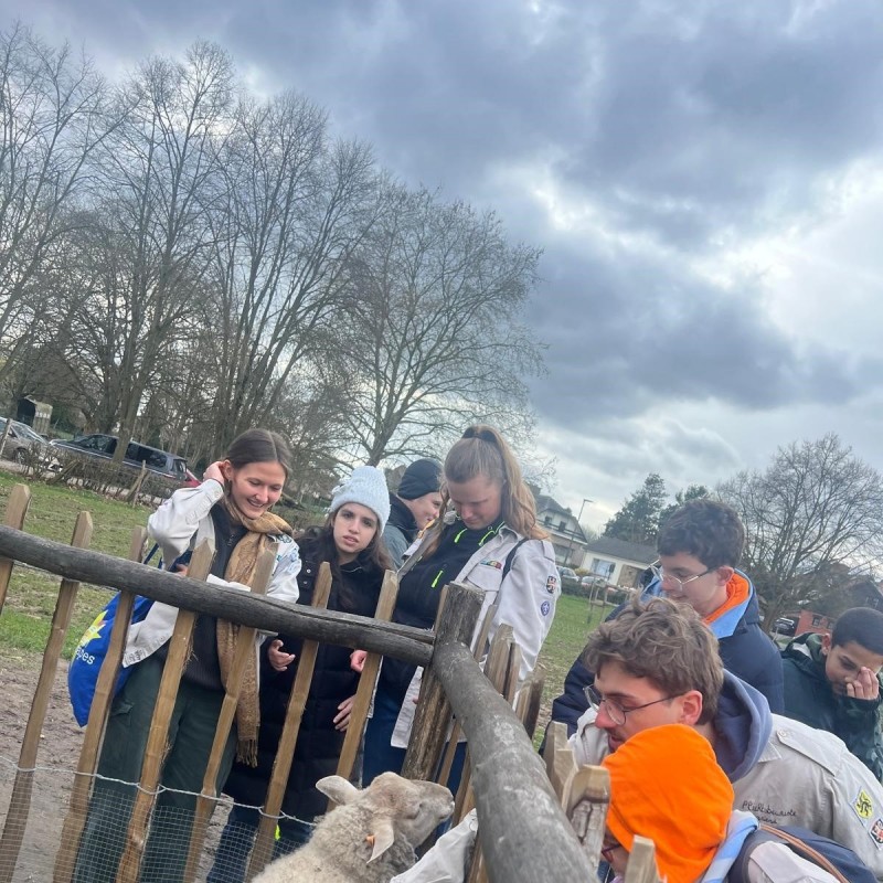 WhatsApp Image 2026-03-01 at 16.59.49  4 - Scouts en Gidsen Zaventem 